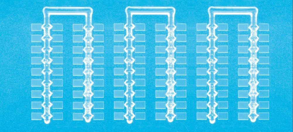 Preiser 97001 clear bases 1:160 108 pieces